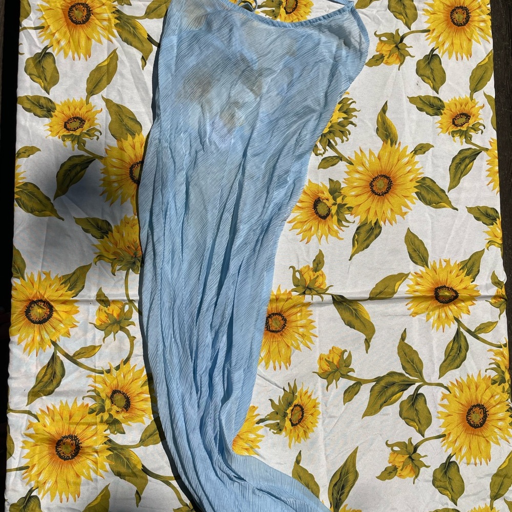 SNDYS Sheer Light Blue Tie Up Back Maxi Dress